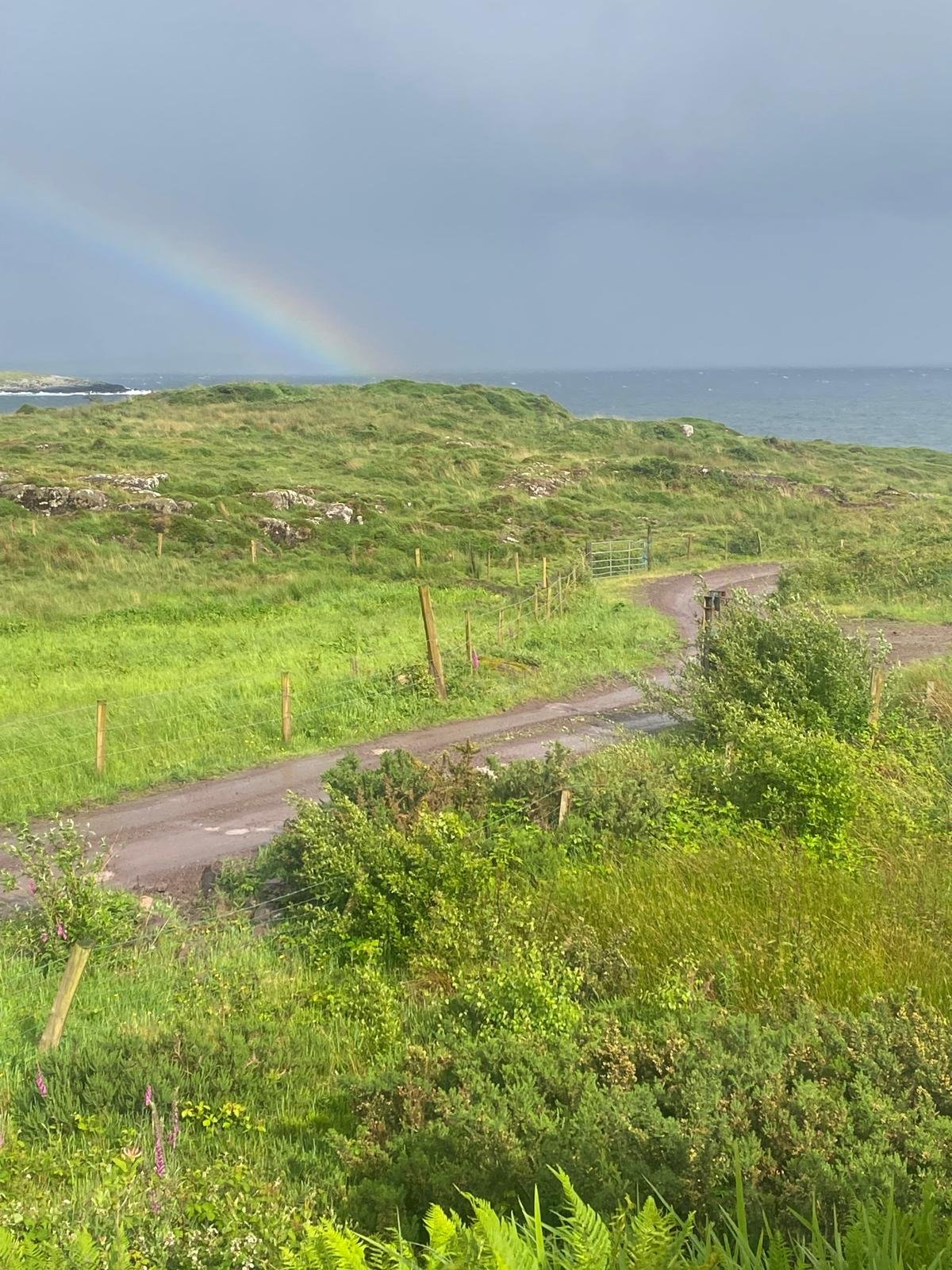 Green grassy landscape with a dirt road, fence posts, bushes, and a rainbow in the cloudy sky over the ocean.