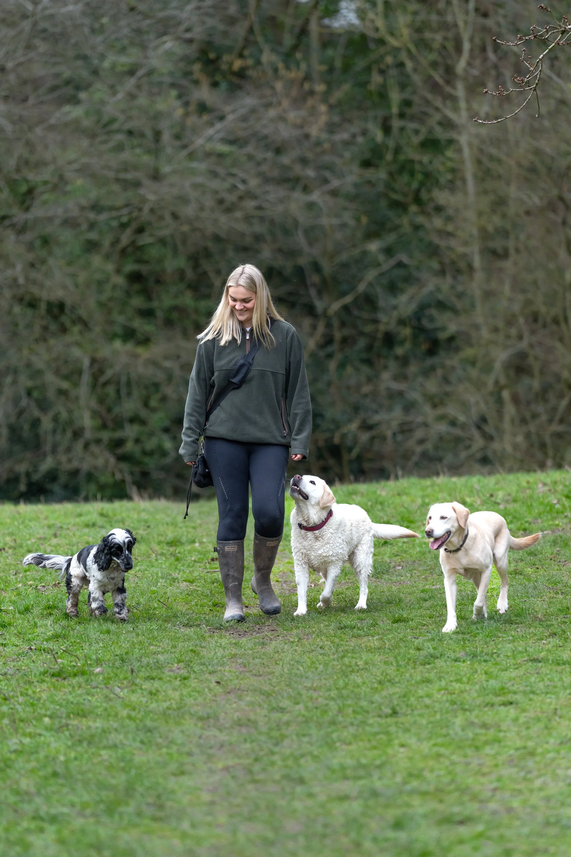 A woman walking with four dogs in a grassy park area during daytime, trees in the background.