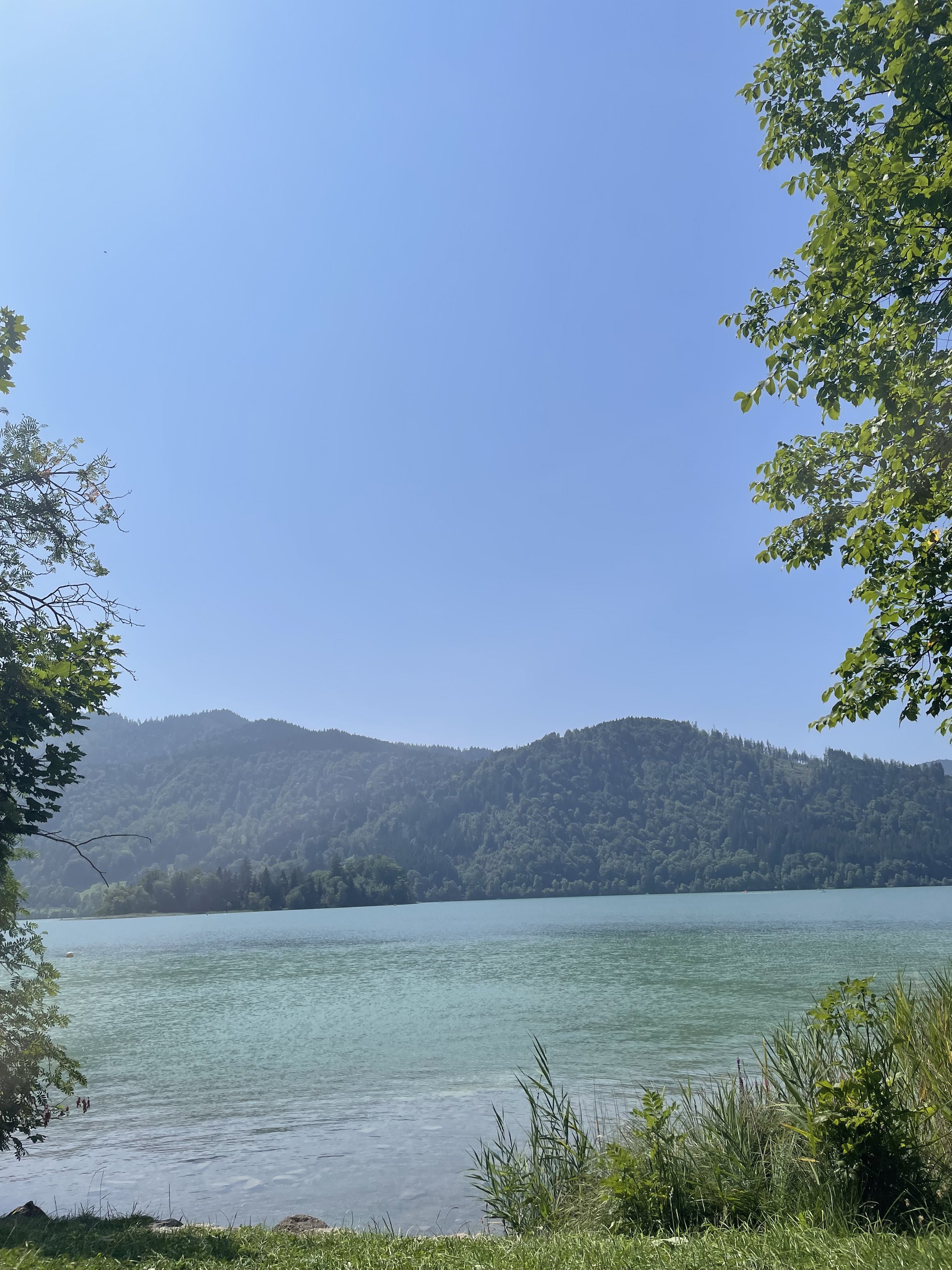 View of a calm lake with a mountain range in the background, surrounded by trees with green leaves and some grass and rocks at the shoreline, under a clear blue sky.