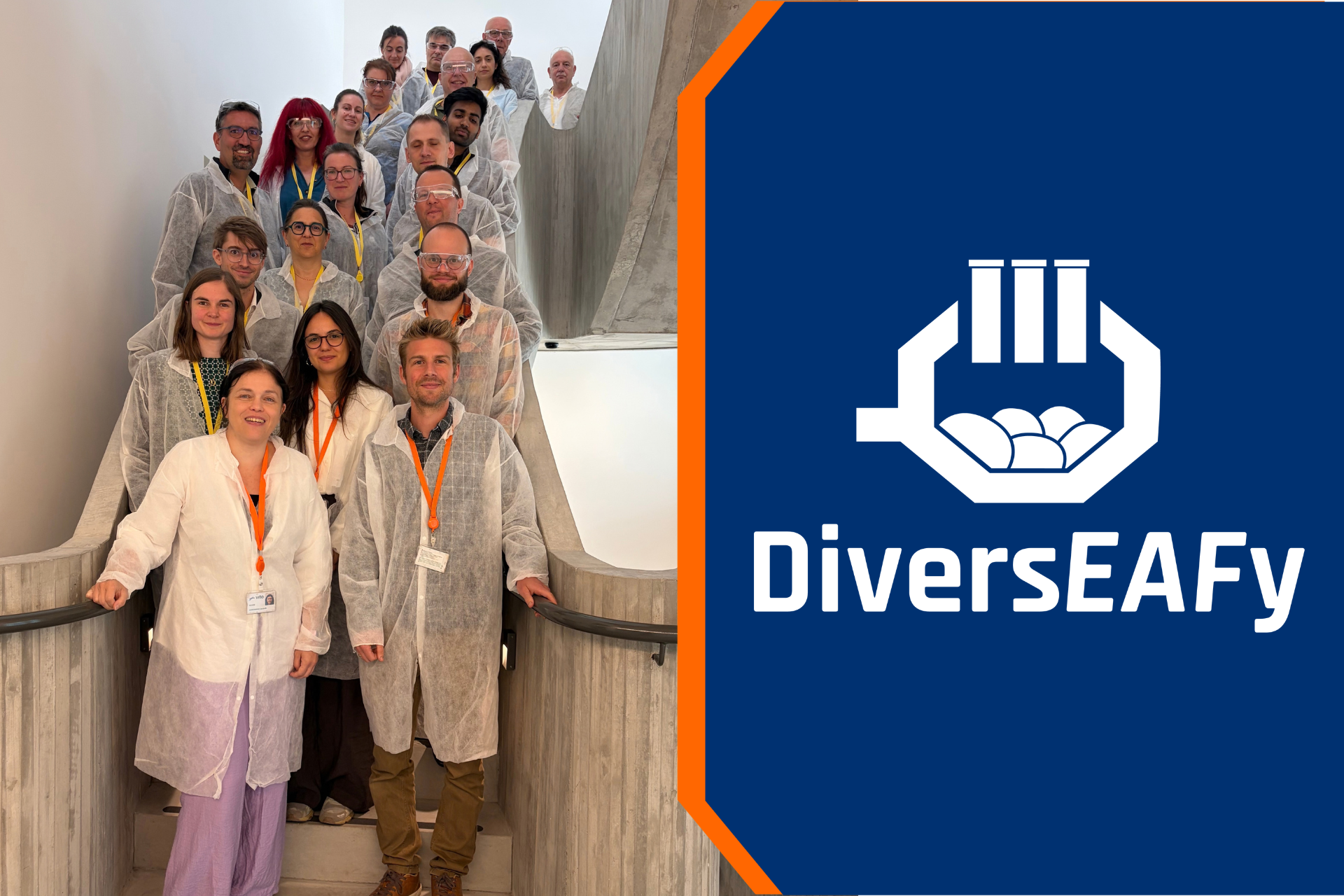 Welcome to the DiversEAFy project