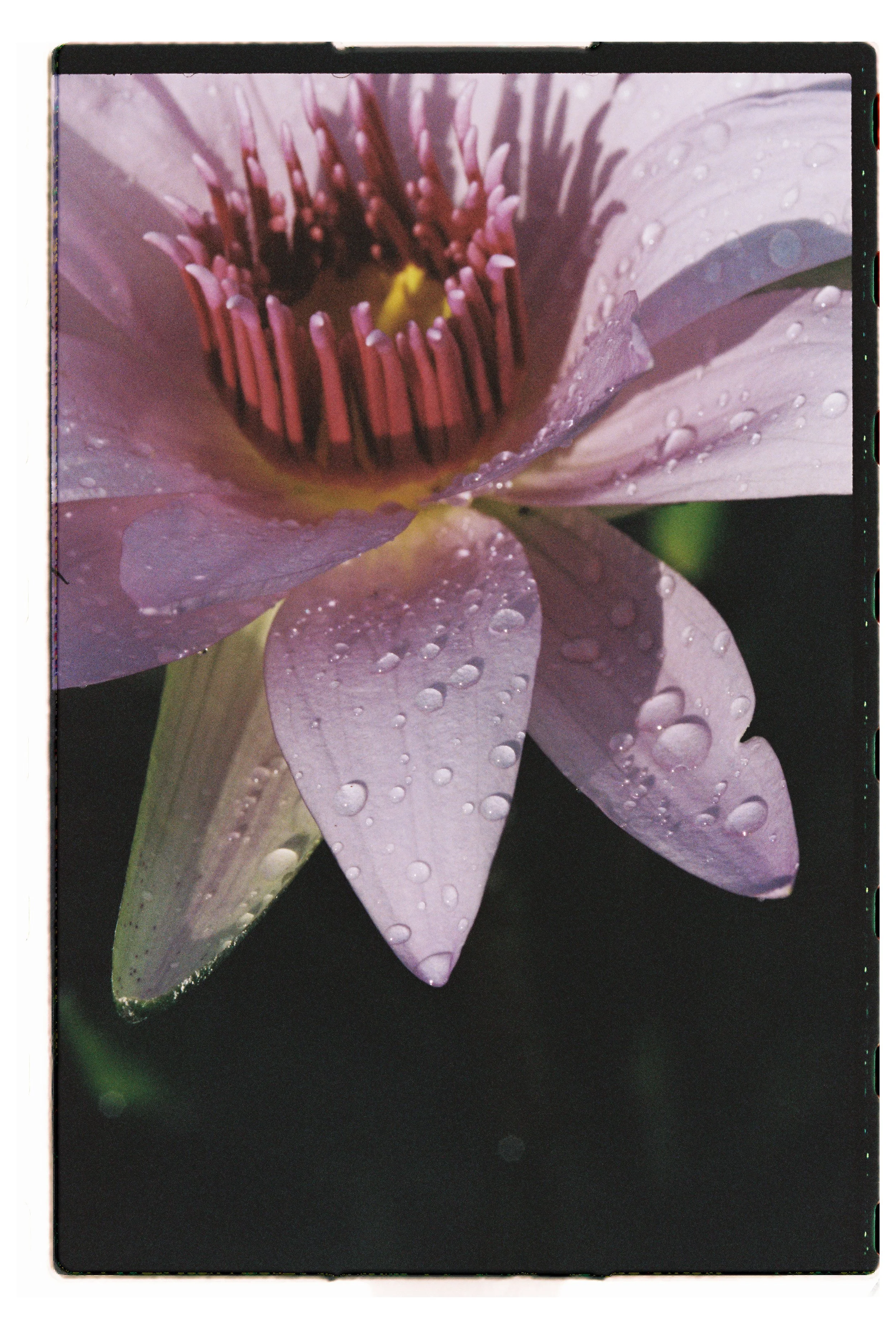 JoseArella000907-R1-006-1A.jpg