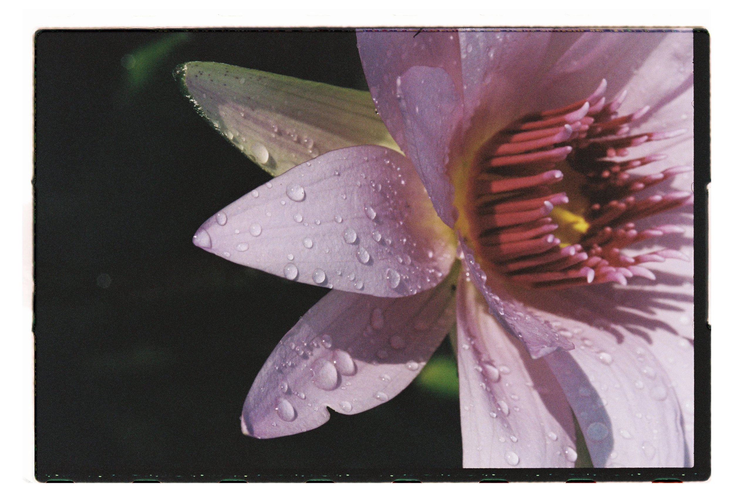 JoseArella000907-R1-006-1A.jpg
