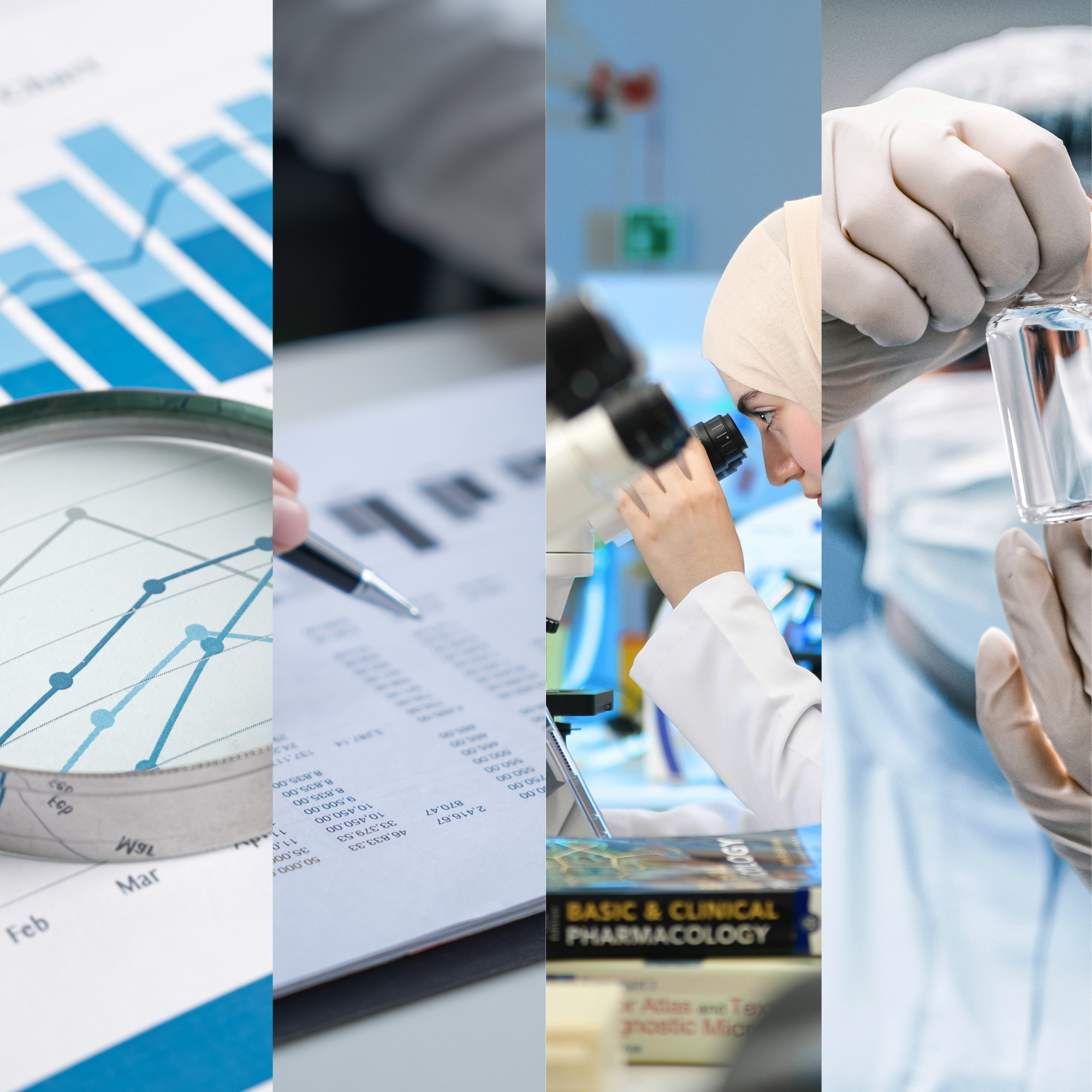 SciClin Audit