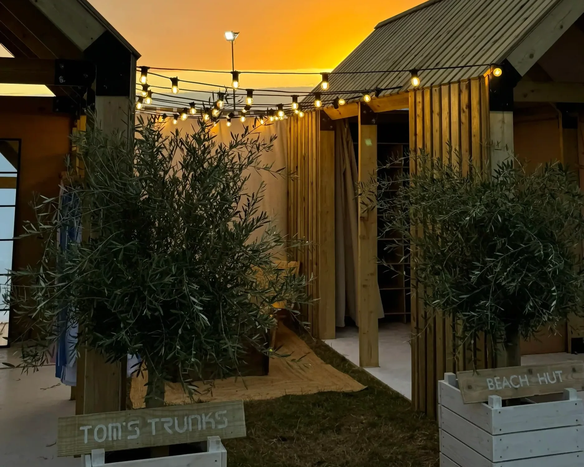 Tom's Trunks bespoke festival pop-up brand experience with glowing festoon string lights and olive tree silhouette at dusk