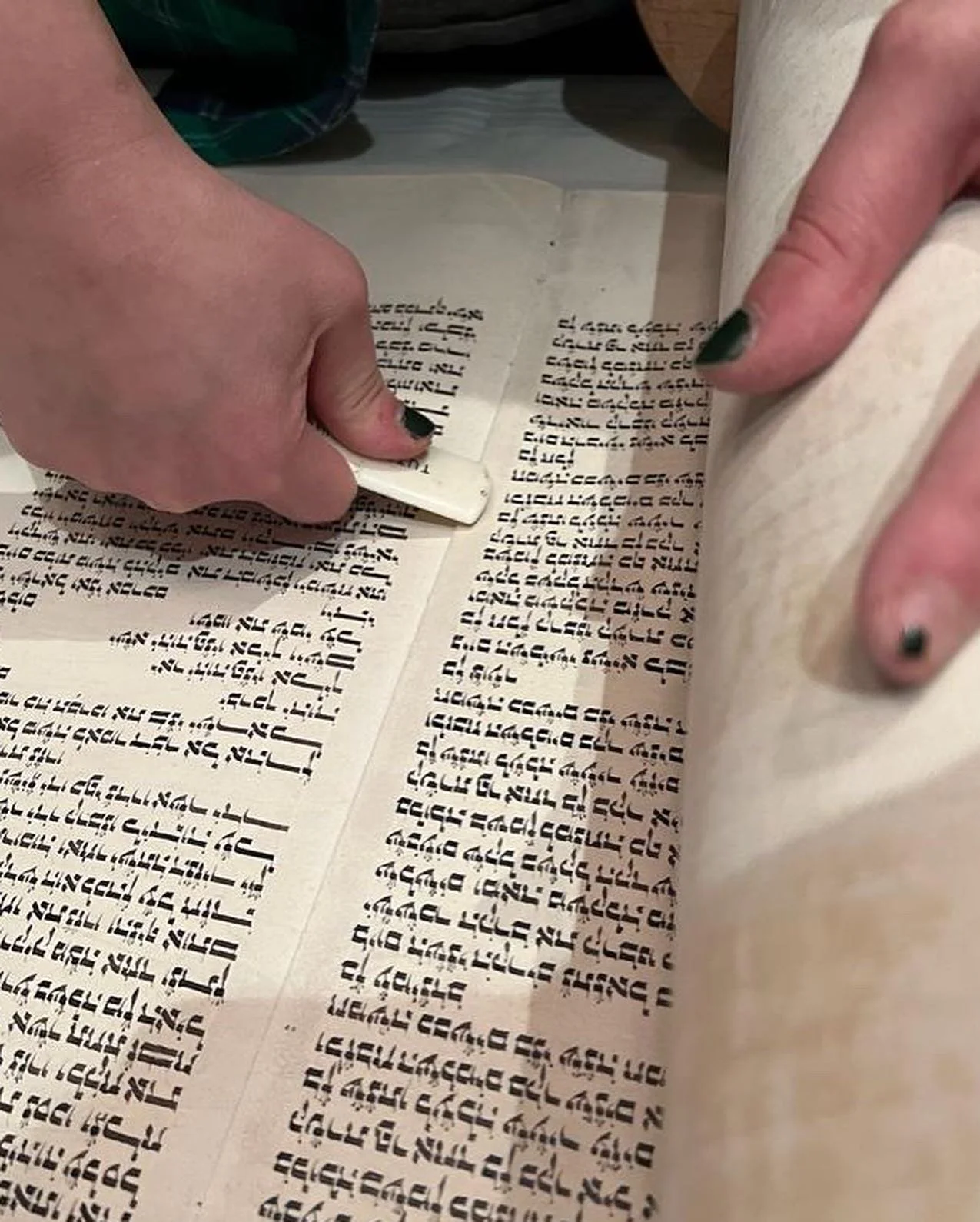 torah repair 2.jpeg