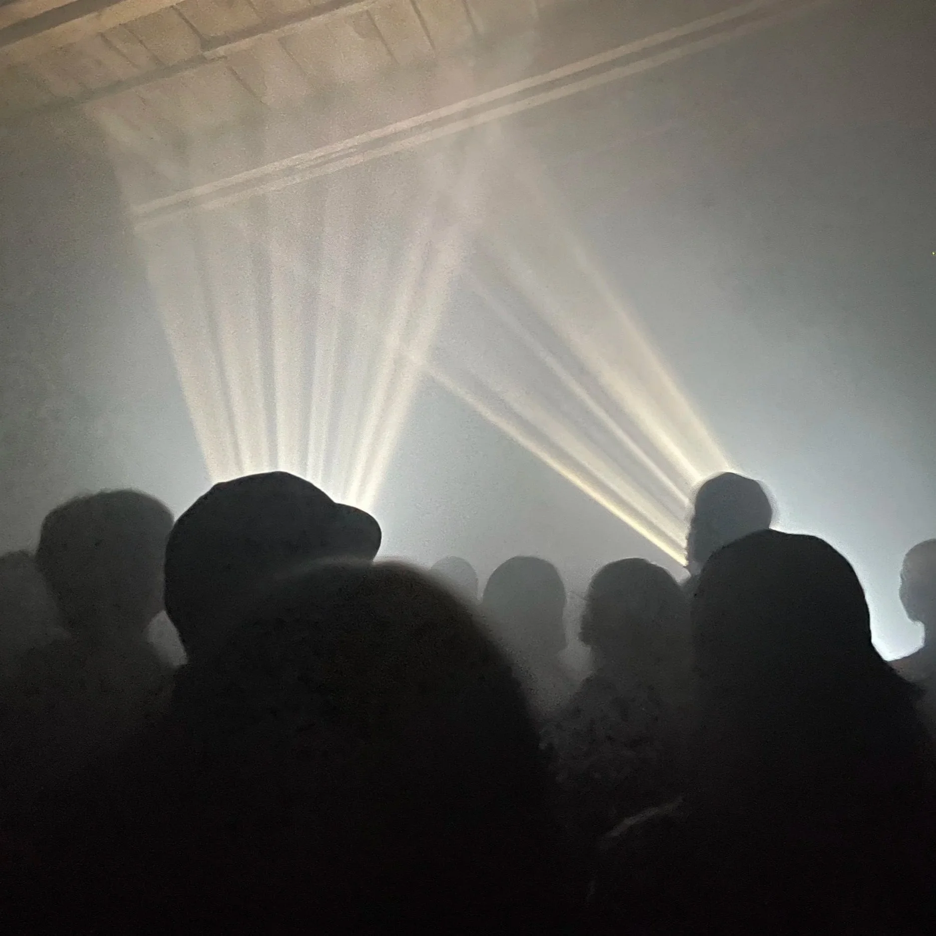Clubs, Festivals und Nachtleben