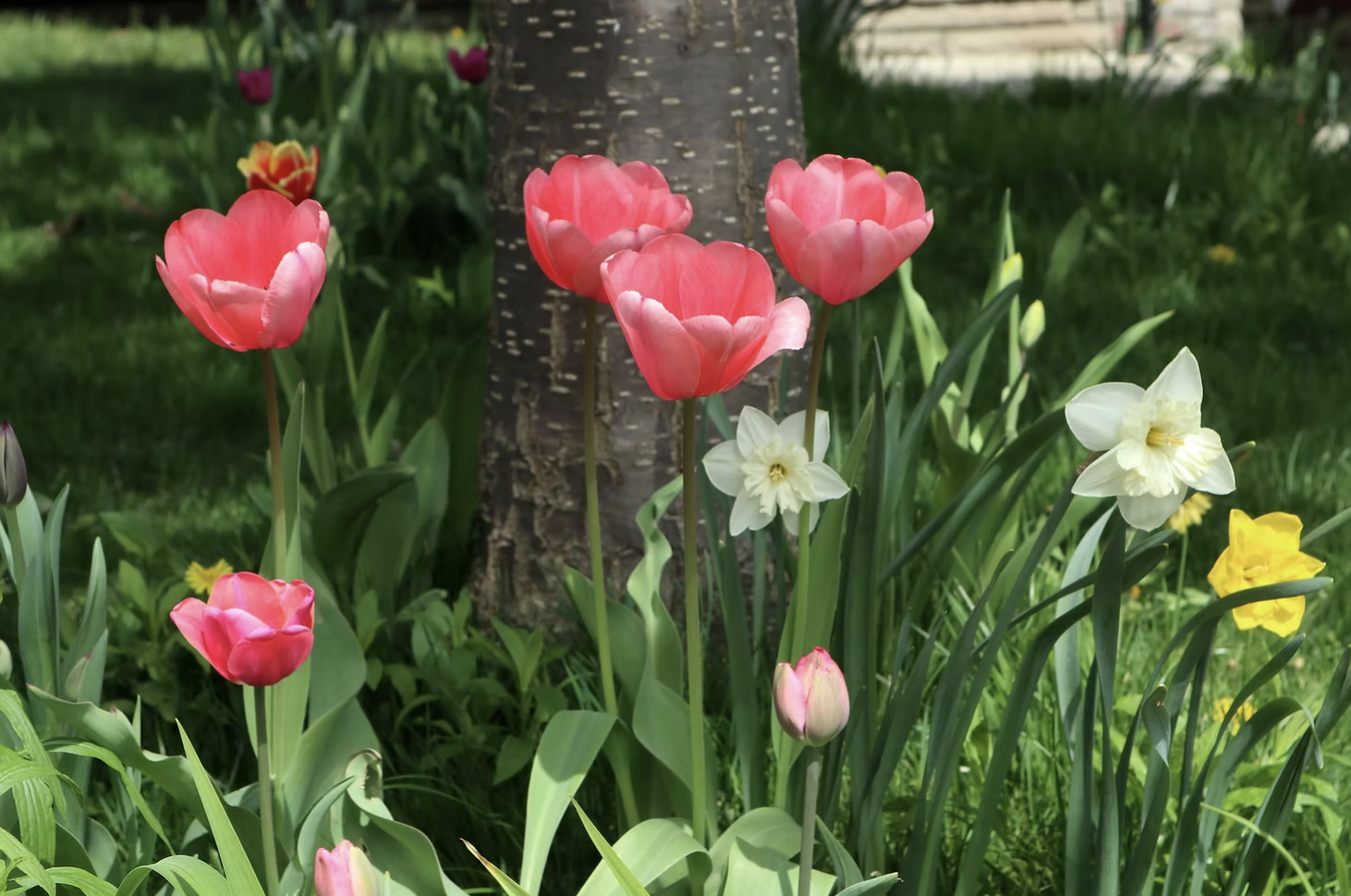 Spring is Resurrection