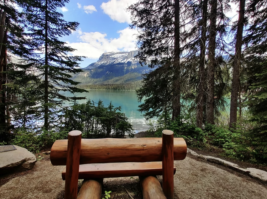 Rockies and Landscape Design