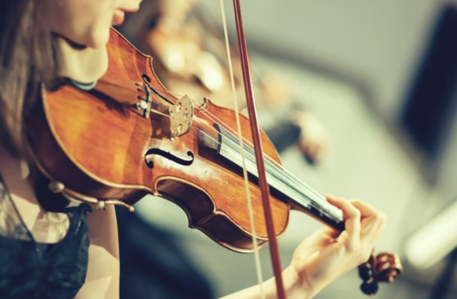 The Violin, You, and Landscape Design