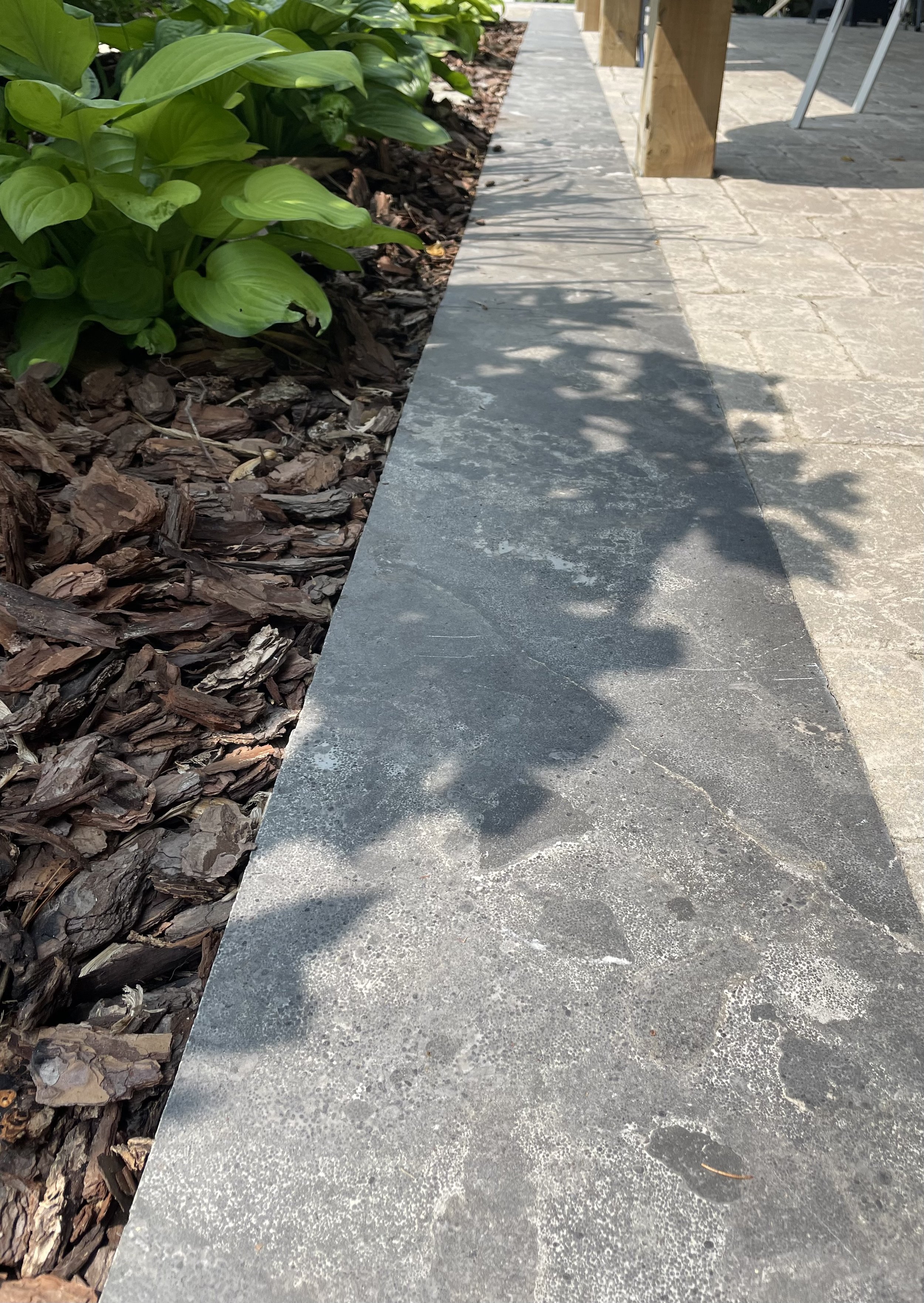 Unitas Project Garden Interlude3994.jpeg