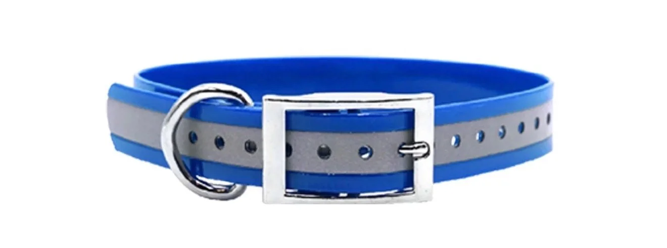 Blue and gray pet collar with a silver buckle and a D-ring for attaching a leash.