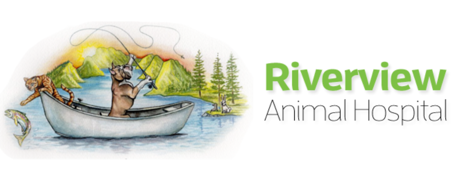 Riverview Animal Hospital