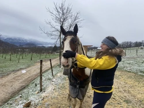 This is my French Friend and her horse! I have been invited several times to go out and see her horse and spend time in the countryside of the ALPS. I LOVE animals and the country. Being here is a breath of fresh air!
