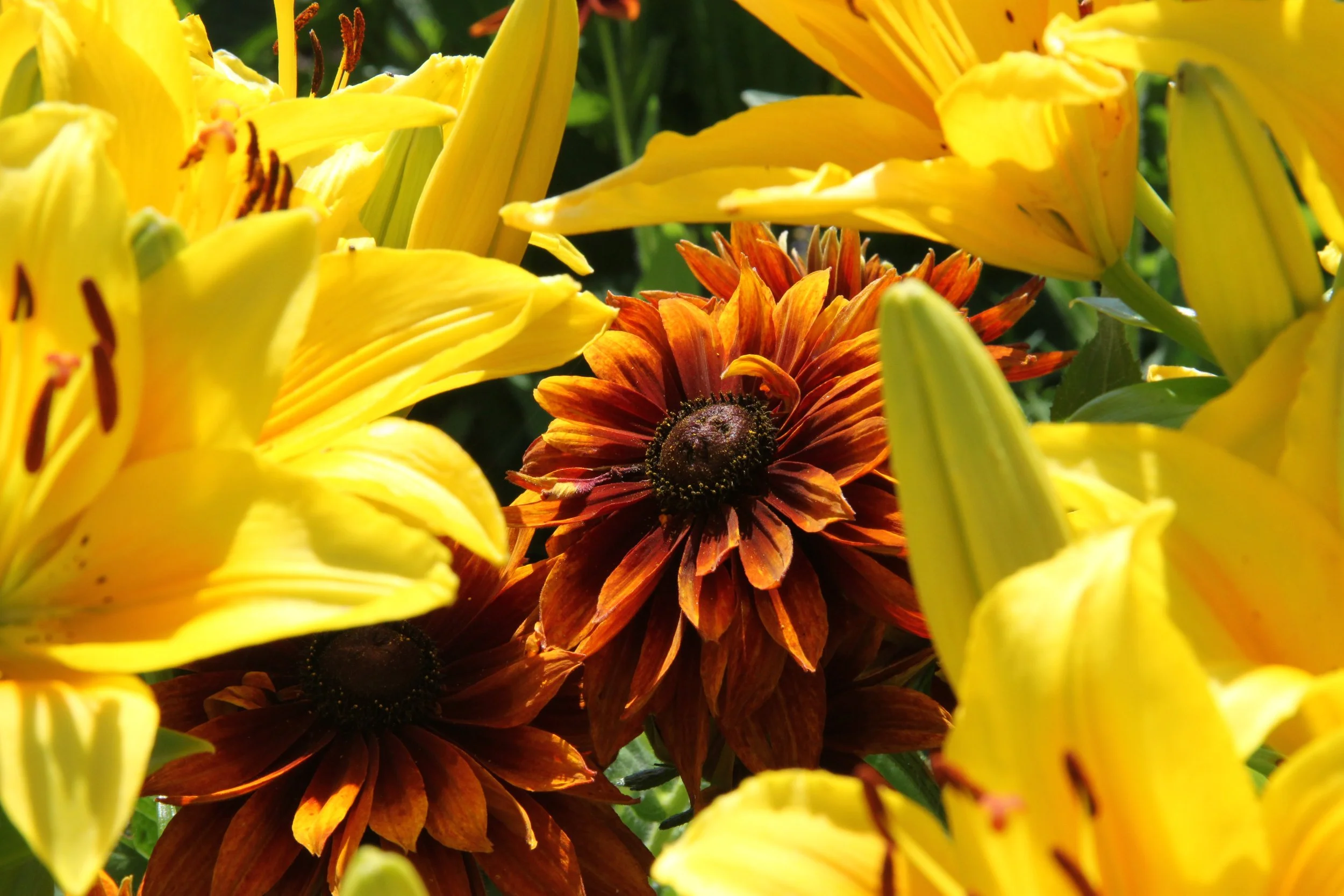 flower