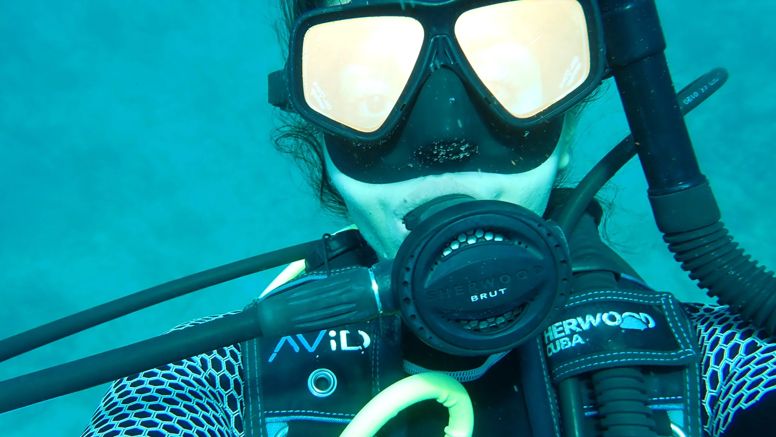 P4270521.jpg