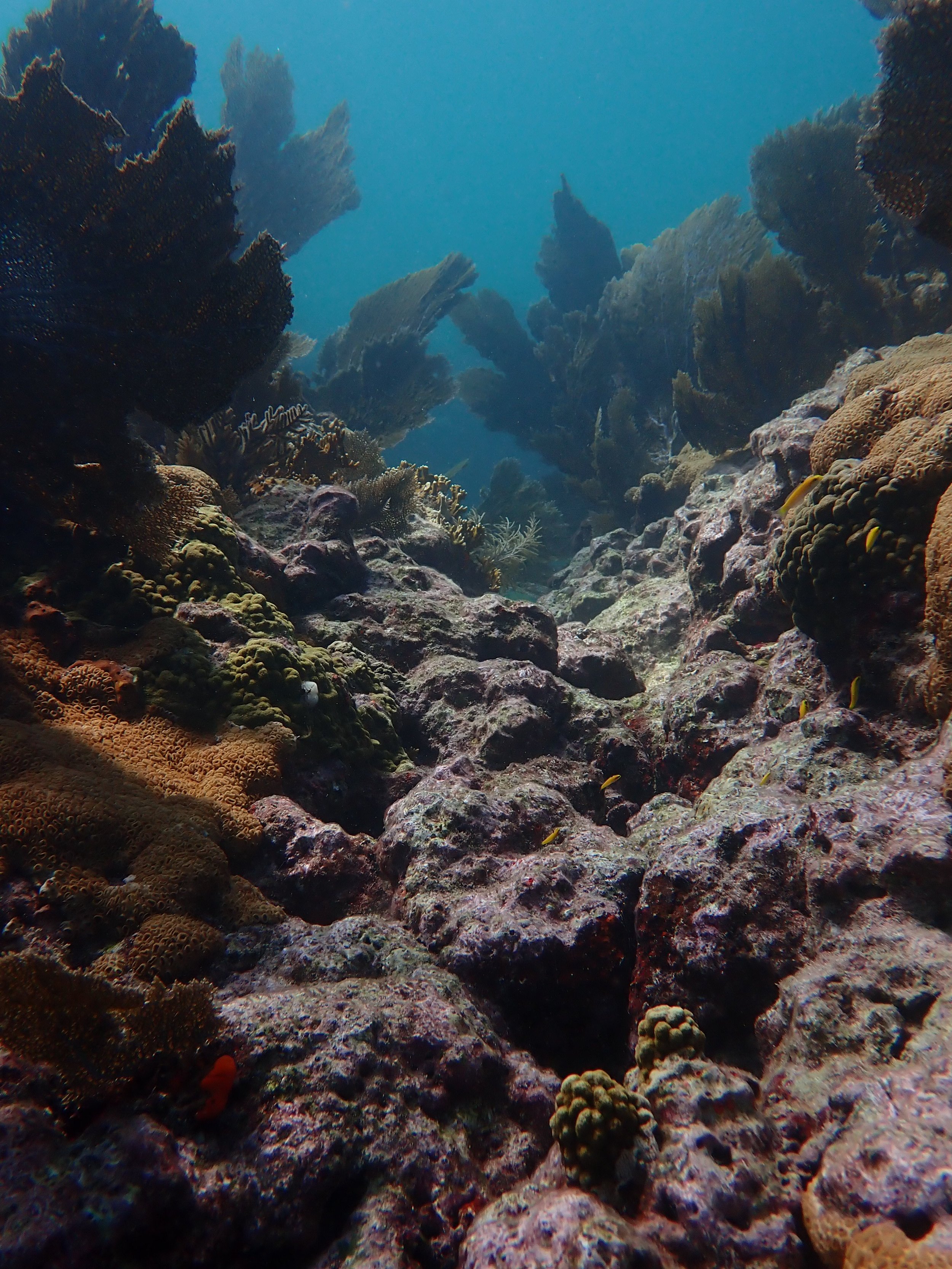 PA220714.JPG