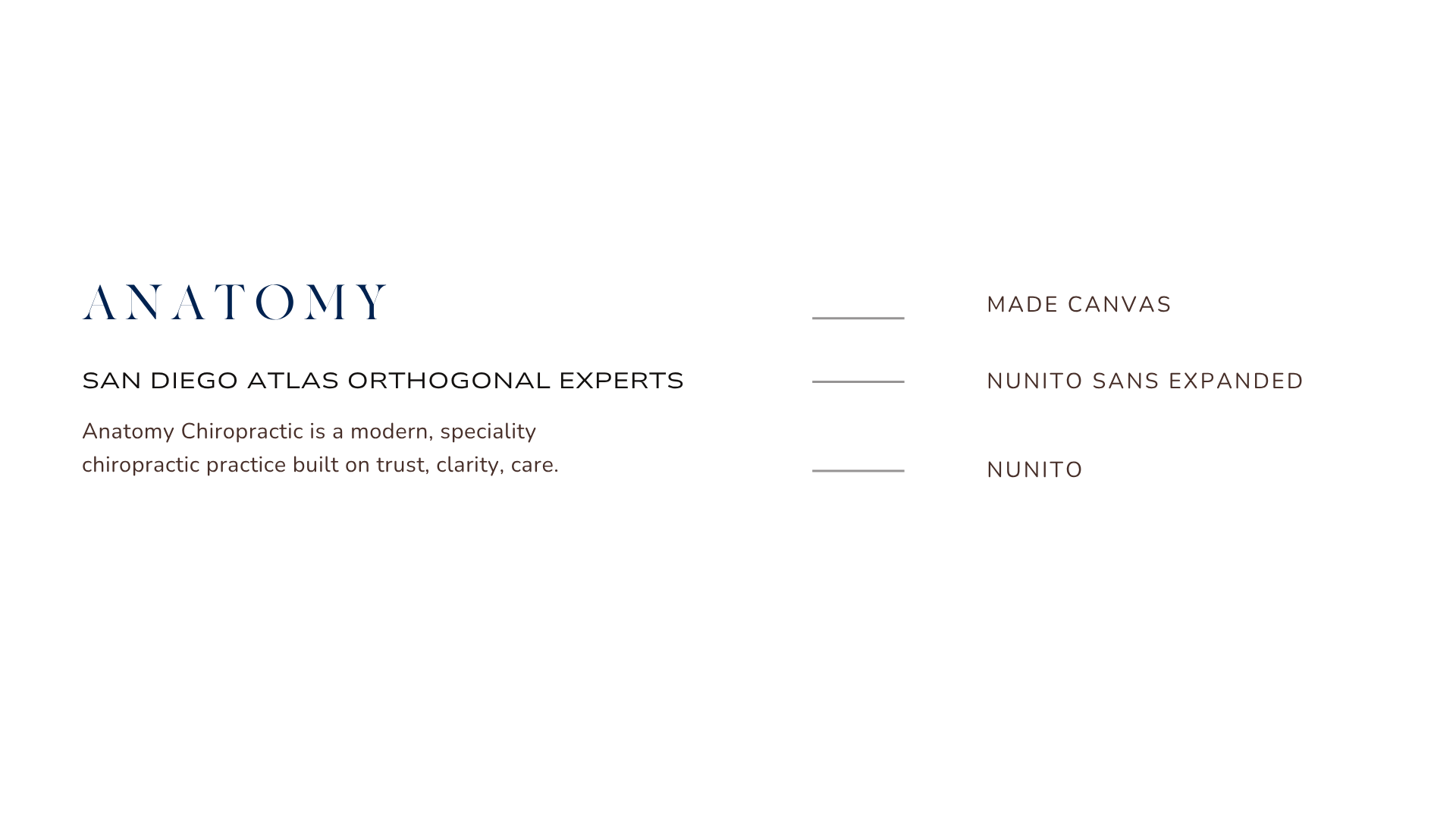 Anatomy Chiropractic.png