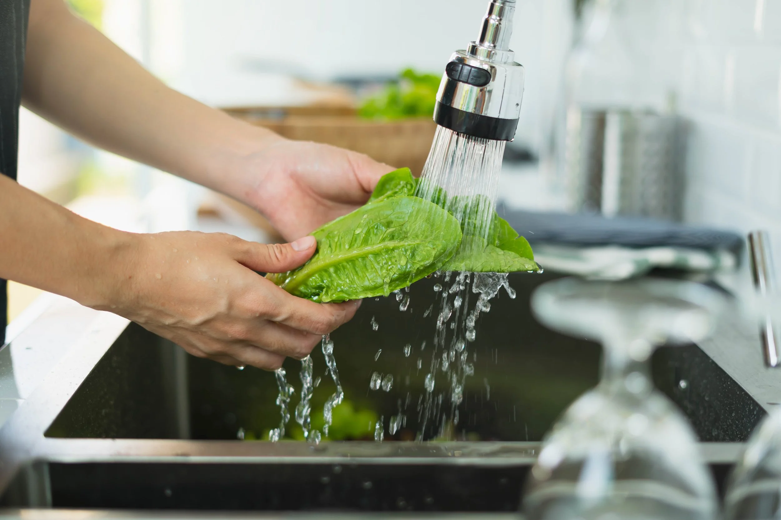 Person washing a fresh green lettuce under running water from a kitchen faucet.