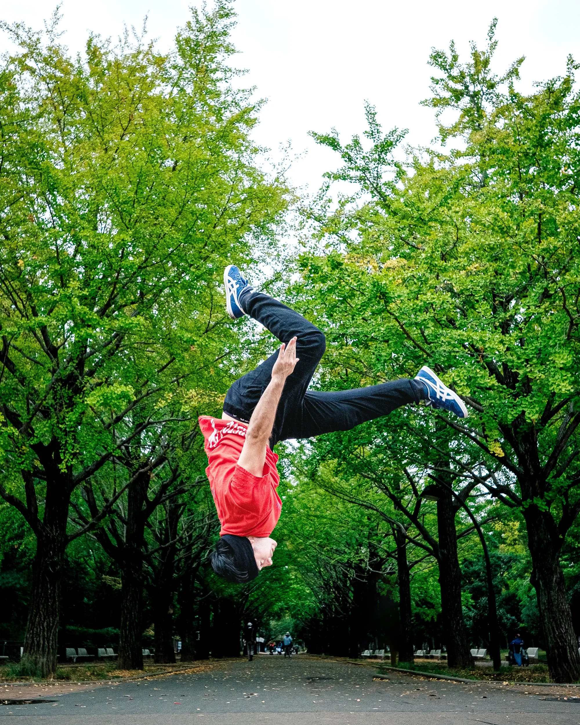 A person in a red shirt and black pants doing a handstand on a paved path in a park with tall green trees.