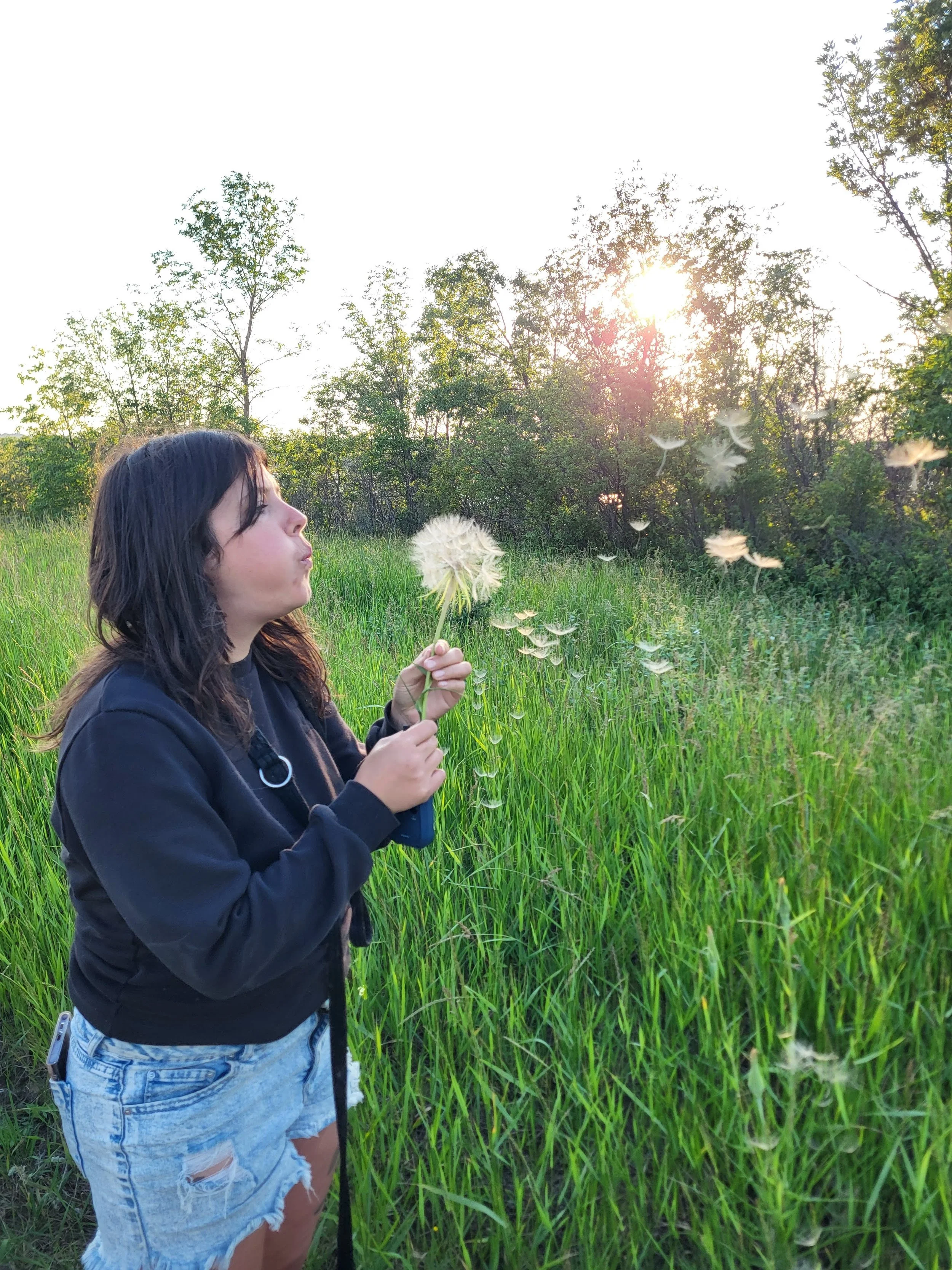 A young woman with dark hair, wearing a black hoodie and ripped denim shorts, holds a dandelion flower in a grassy field during sunset, surrounded by tall green grass and trees.