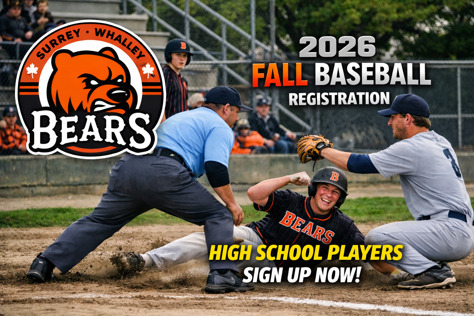 signup now for fall baseball