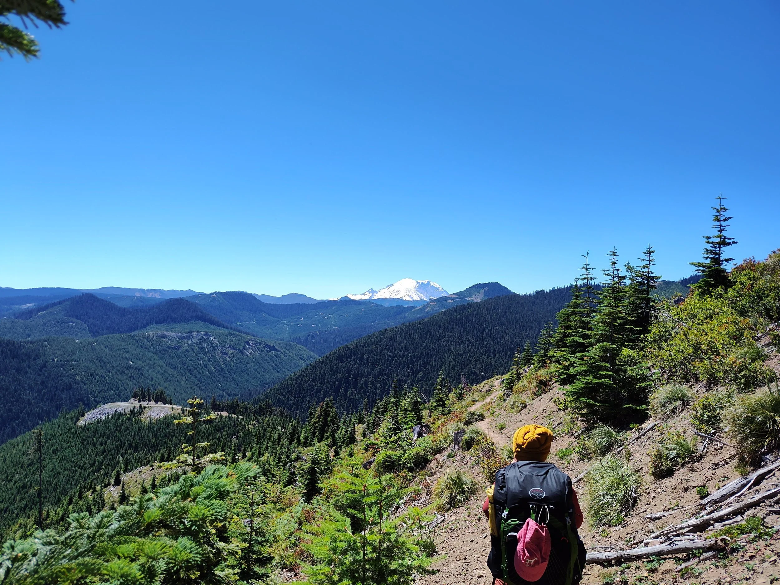 Mt. Rainier in Washington - 2023