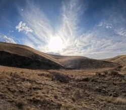 GPTempDownload-250x219.jpeg