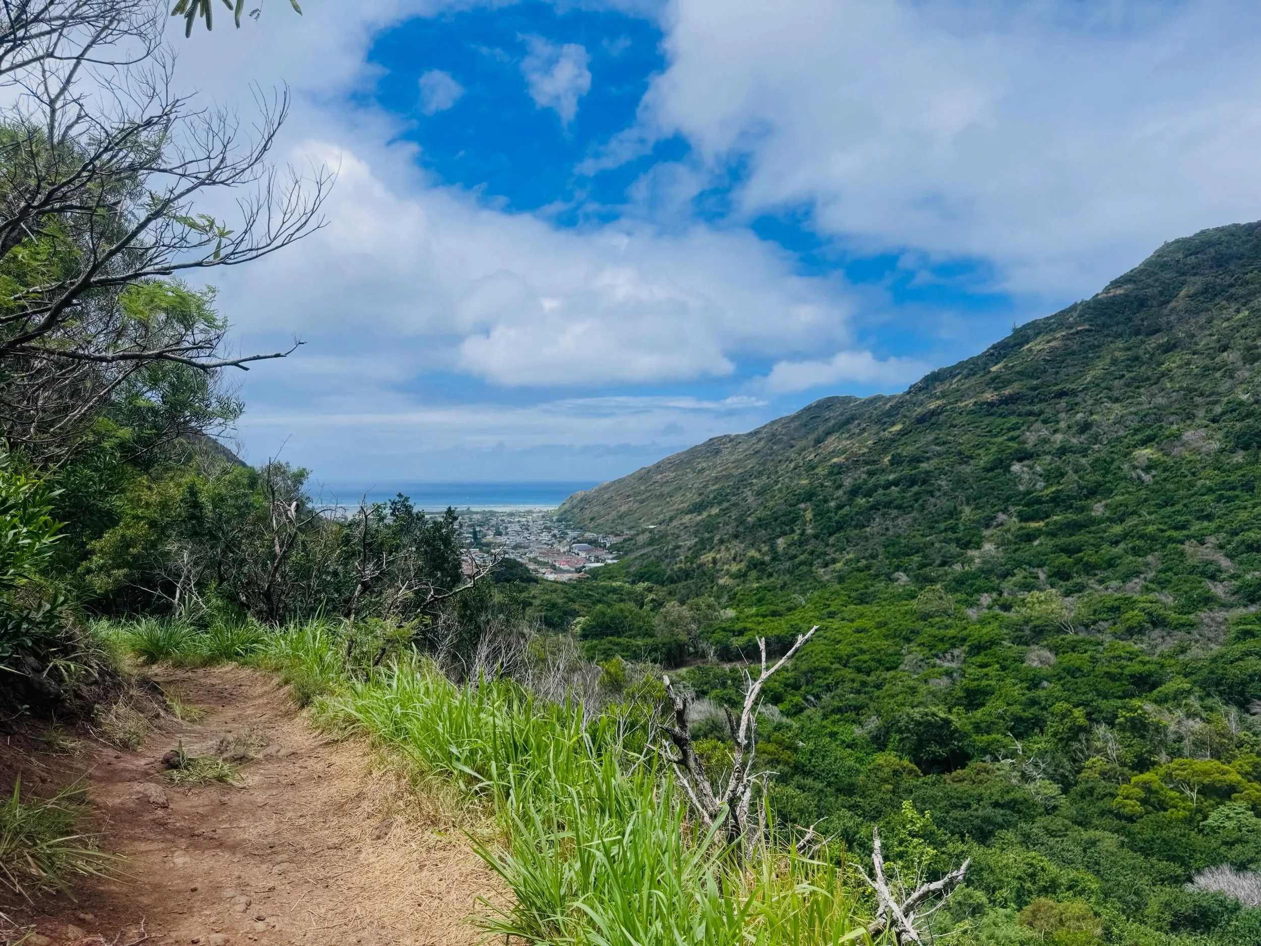 Took a small side trek this week up Kuli&rsquo;ou&rsquo;ou Ridge Trail. It started sunny and with the slow ascent up it began sprinkling making the trail muddy and slick. Chris and I didn&rsquo;t think we would have views at the top, but just as we w