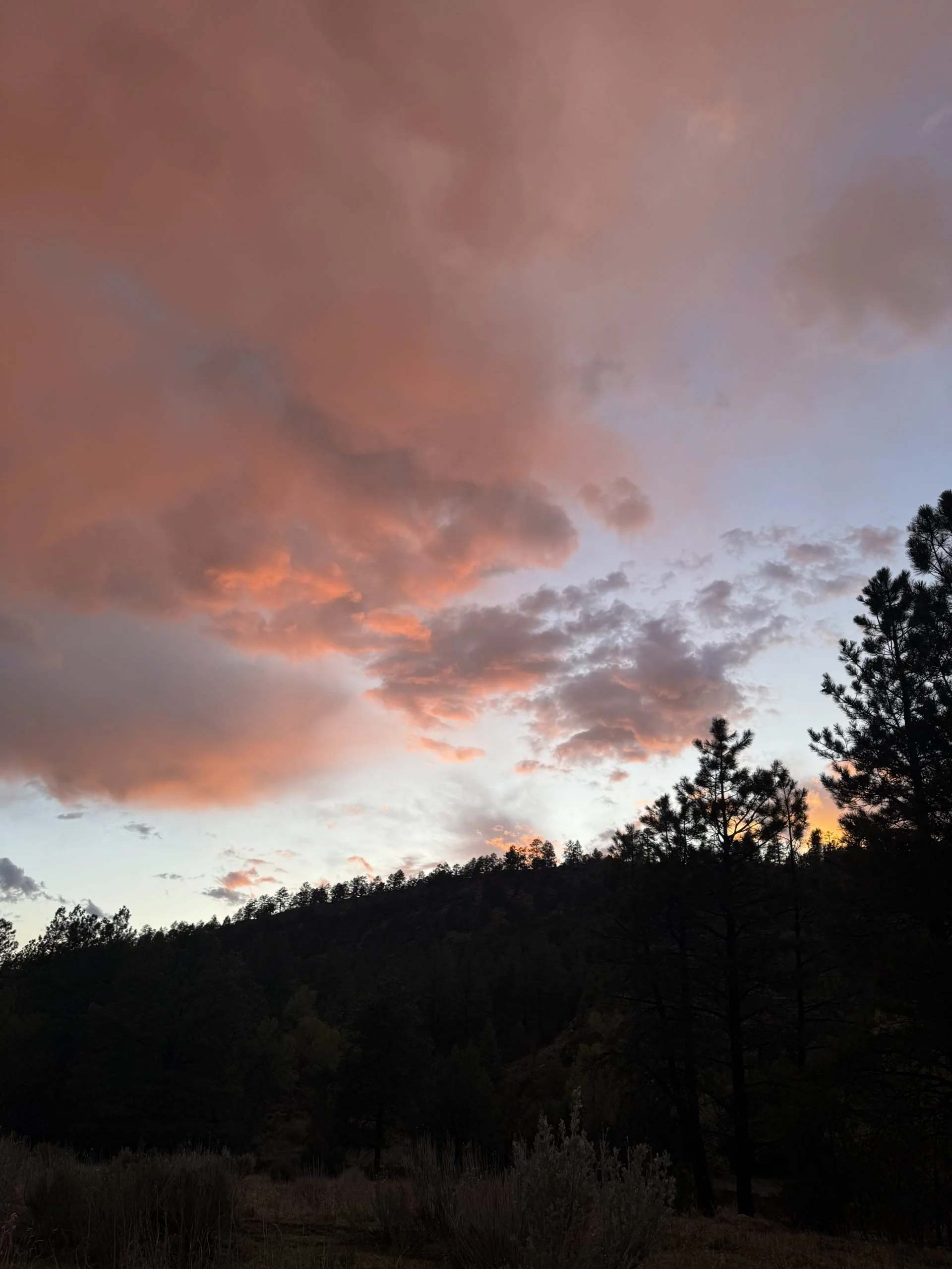 Desert Storms and Arizona Side Quest
