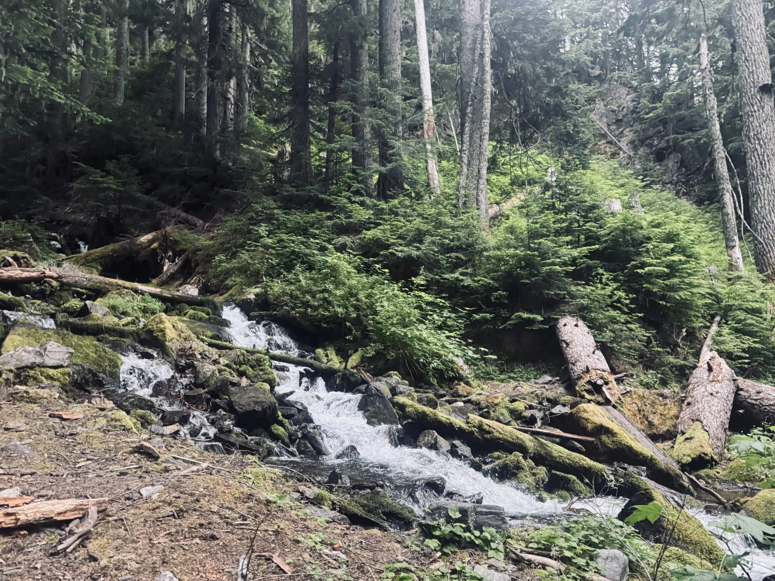 Logs Over River Crossings