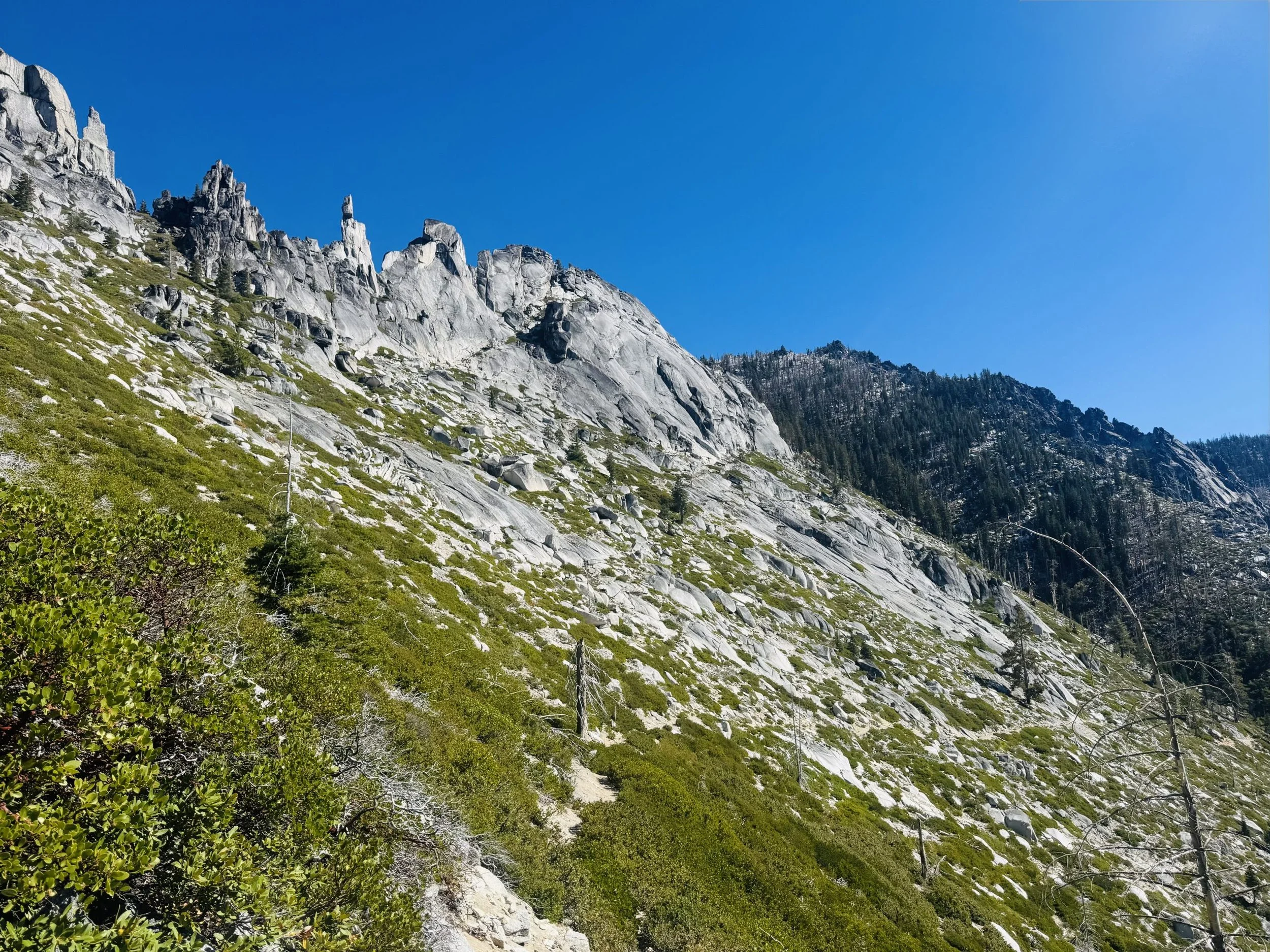 IMG_7309-scaled.jpeg