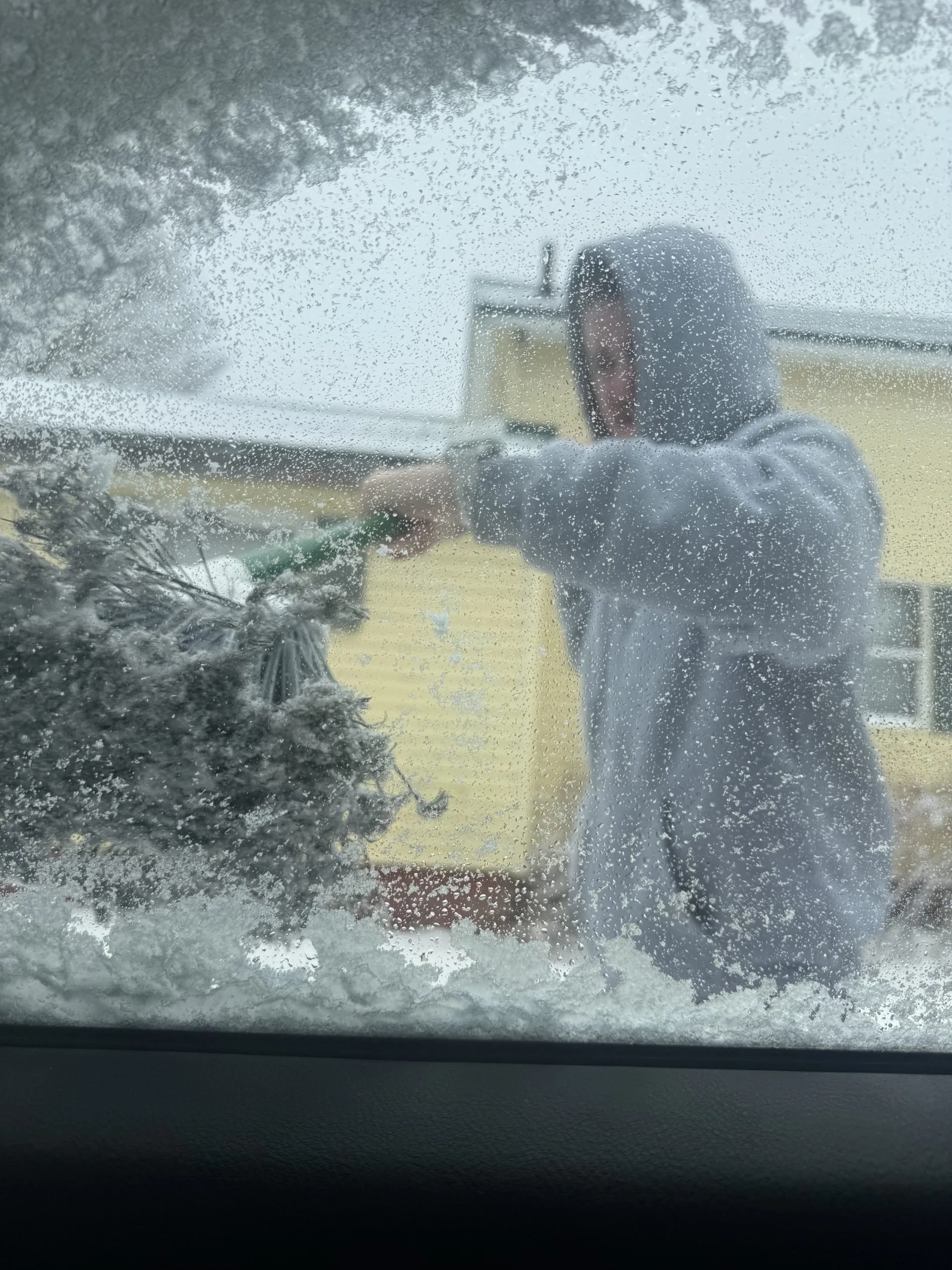 Ice on the East Coast