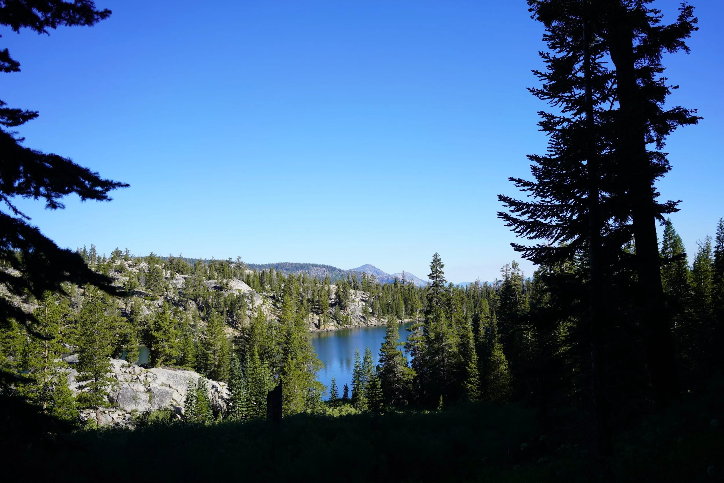 Tahoe Rim Trail - Traversing the South Rim