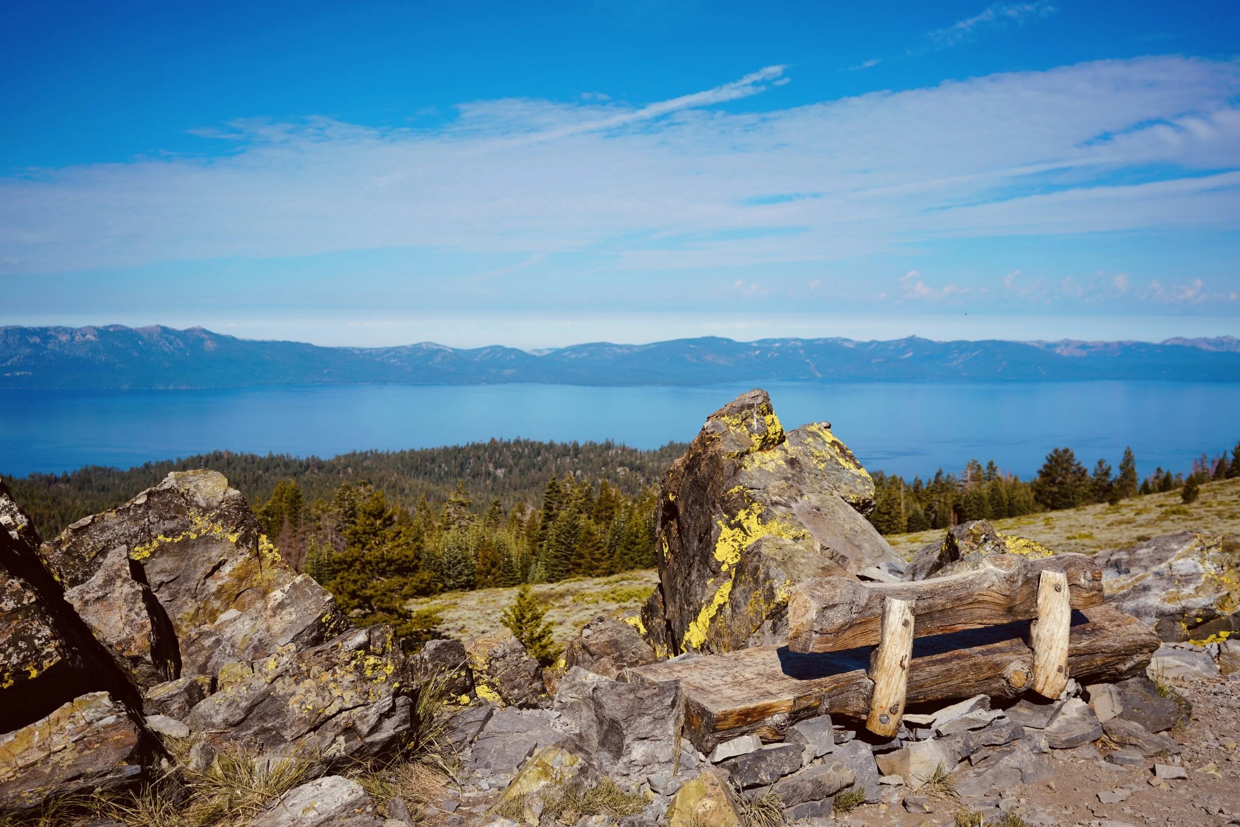 Tahoe Rim Trail - An East Rim Bear Scare