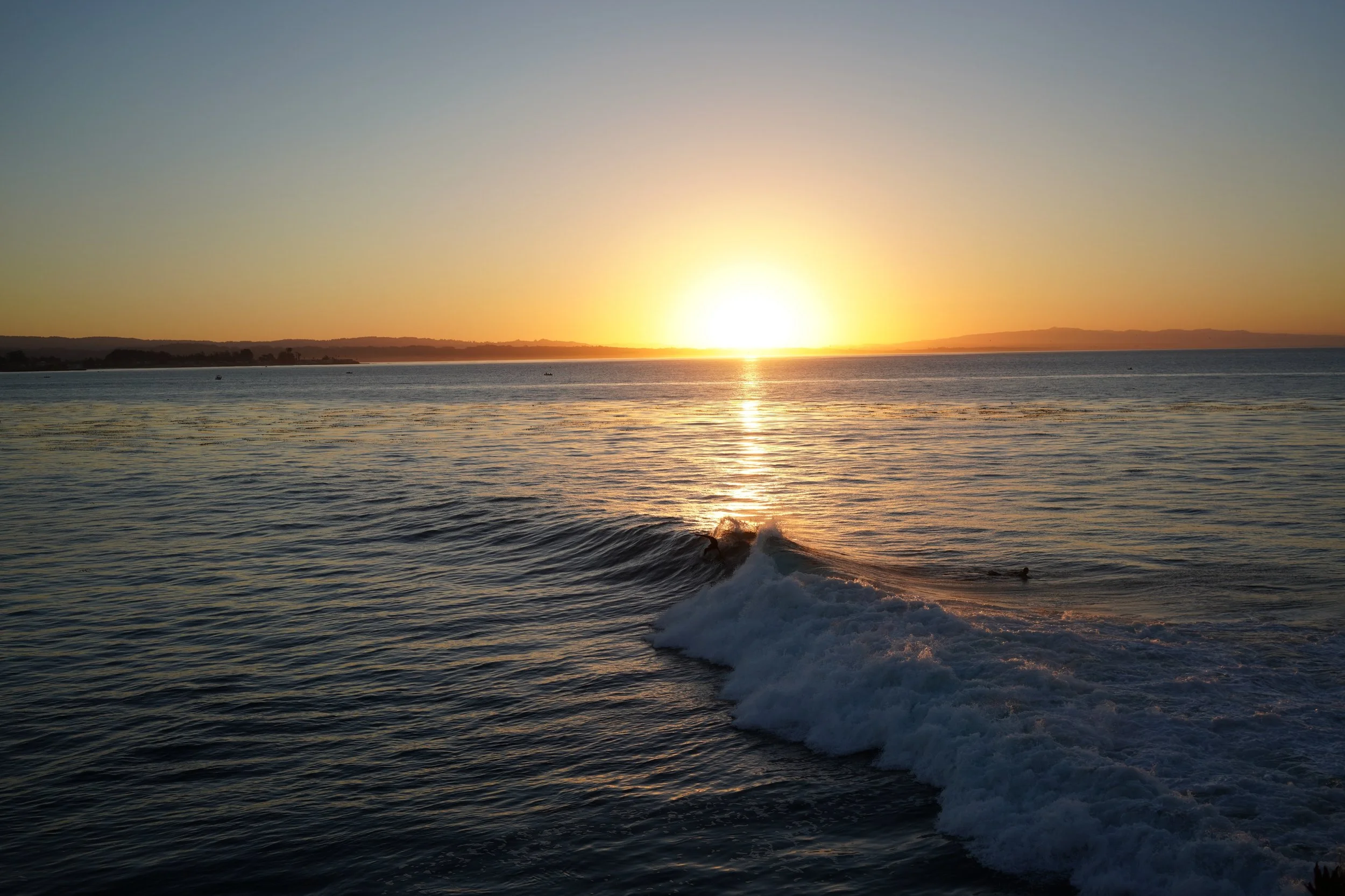 Days have looked like: 

Taking Kona to the dog beach 🐶 
Walks along West Cliff 🌊 
Catching sunrises and sunsets 🌅 
Finding a new gym with tub and outdoor pool💪 🏊 
Applying to jobs ✍️ 
Practicing my photography 📸 
Social media gig work 💼 
Lear