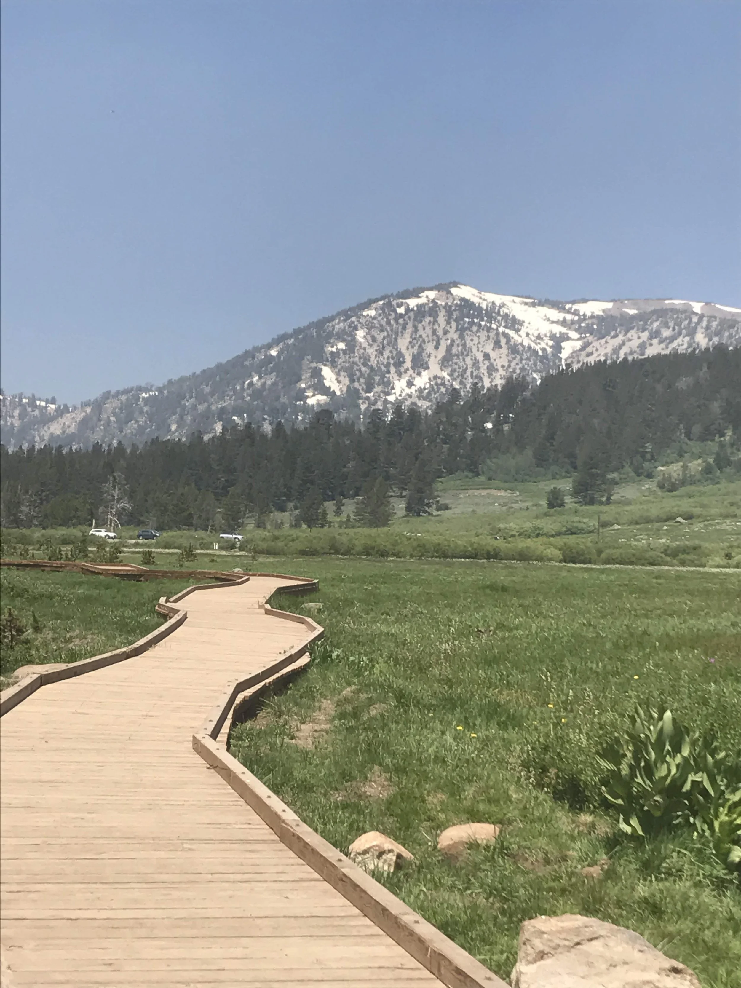 Tahoe Meadows - 2017