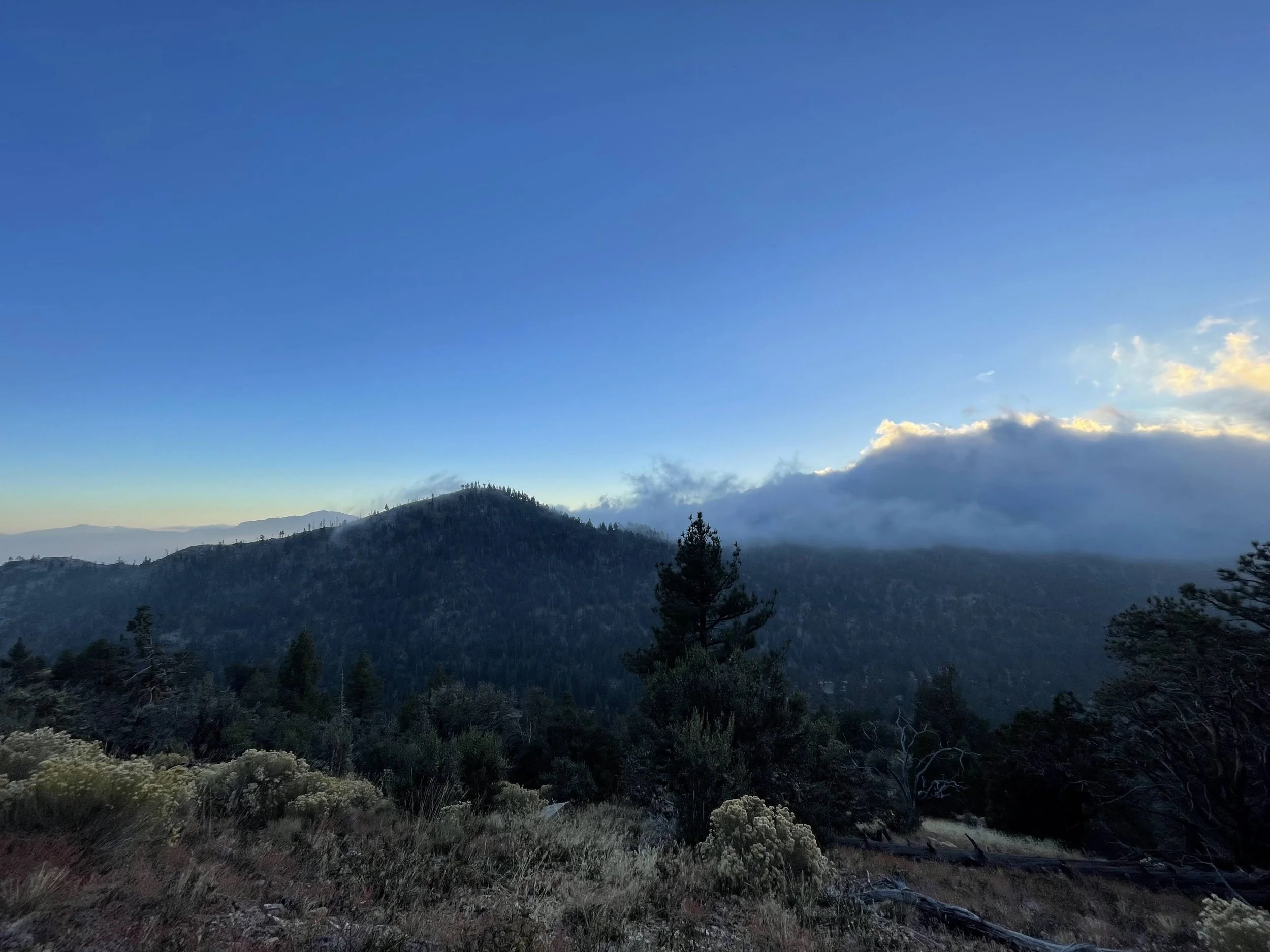 Views Mt Laguna, SoCal - 2023