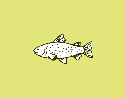 Kids Fishing Day