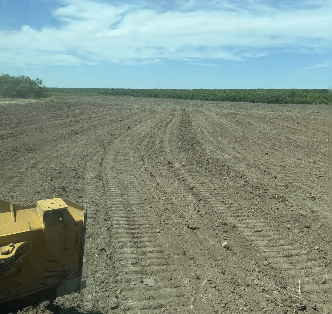 Pasture after root plowing.