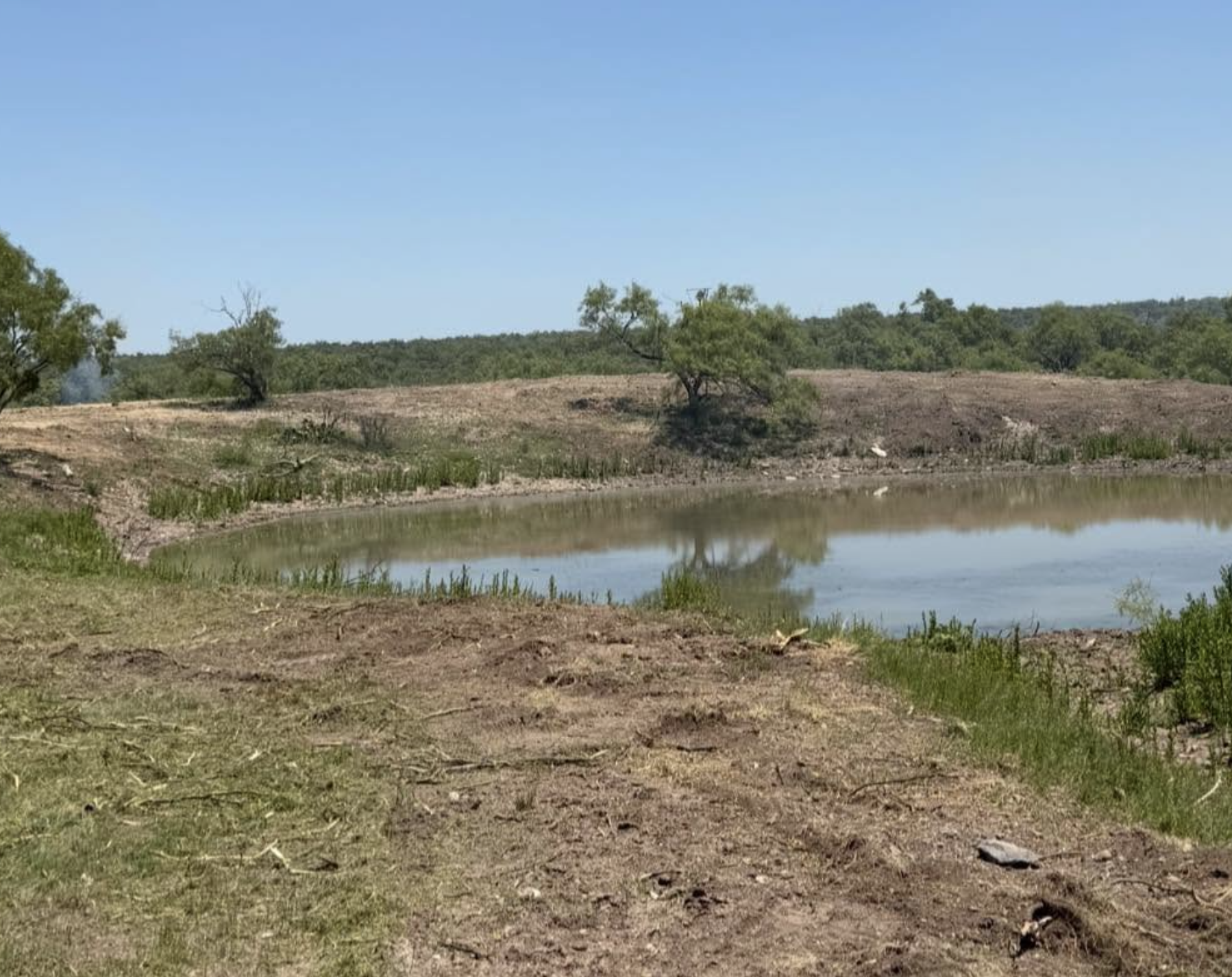 An after picture of a tank since removing overgrowth and making tank more accessible.