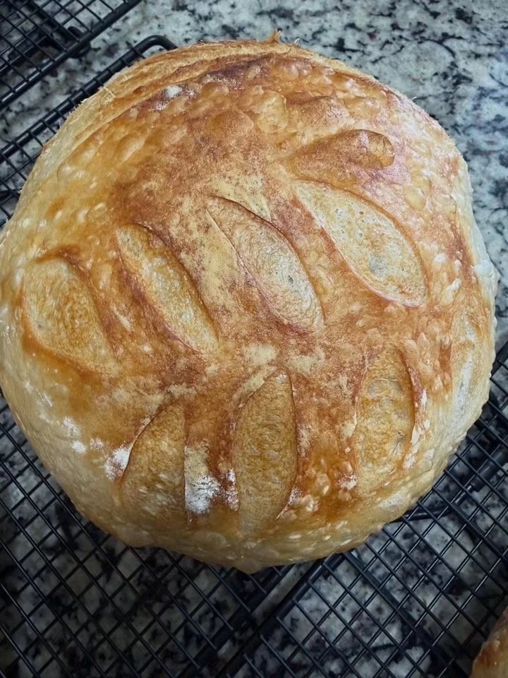 Sourdough Round or Loaf