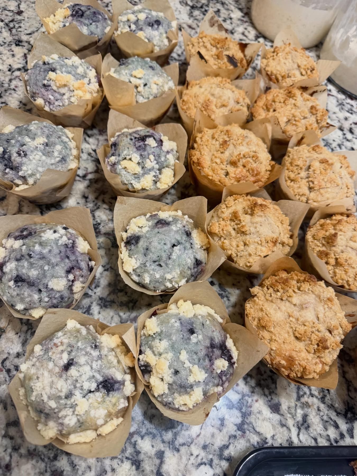 Sourdough Muffins