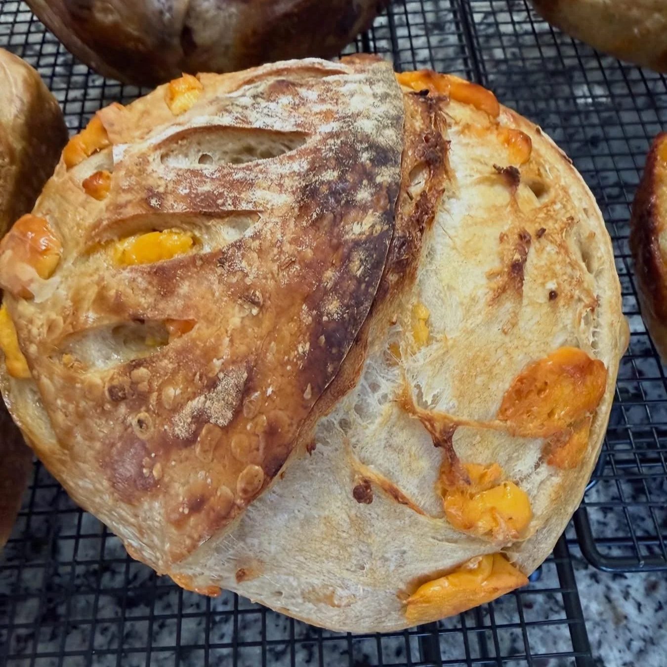 Sourdough Round or Loaf