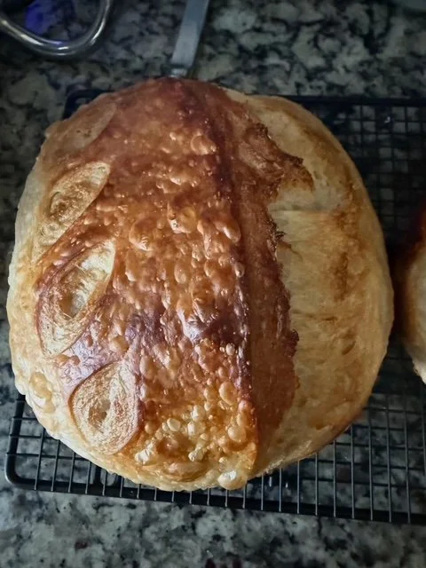 Sourdough Round or Loaf