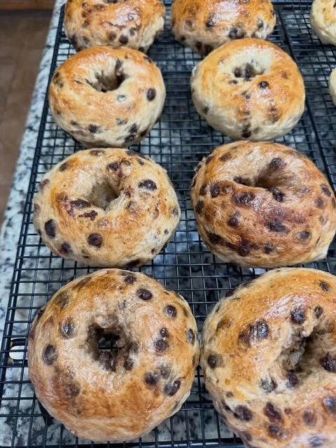 Sourdough Bagels