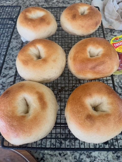Sourdough Bagels