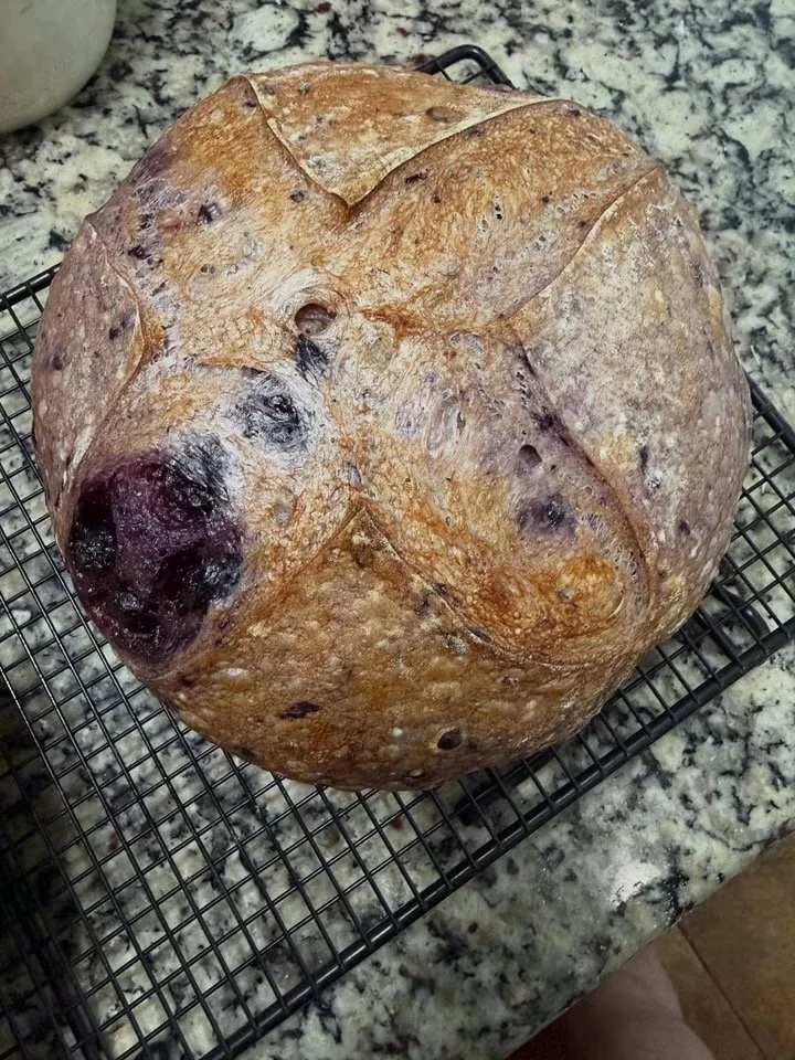 Sourdough Round or Loaf