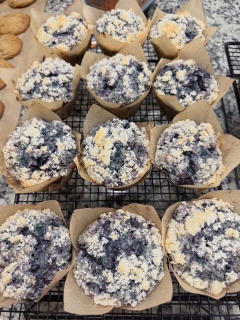 Sourdough Muffins