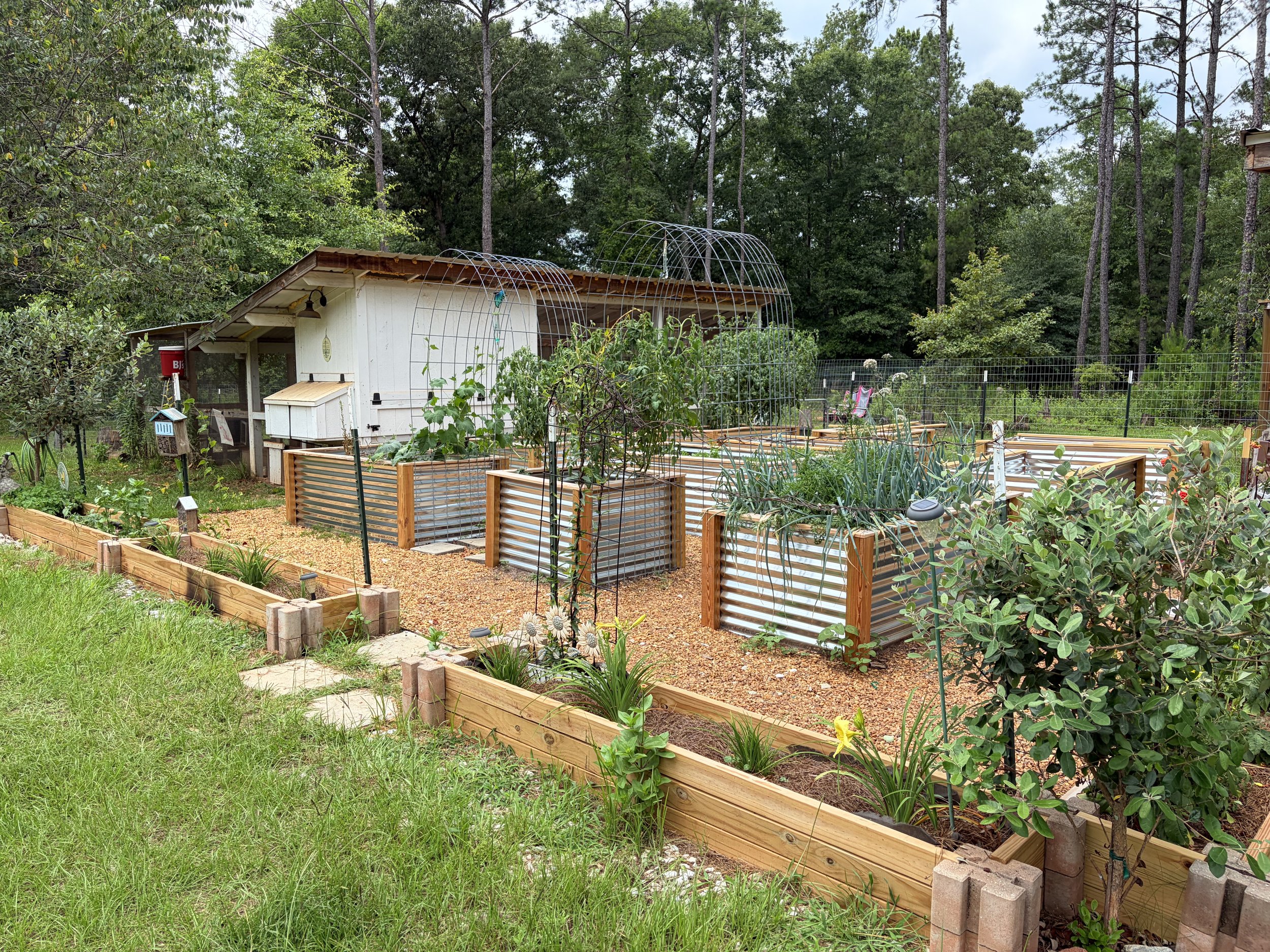A garden with a small white shed, raised garden beds, metal plant trellises, trees, and outdoor decorations.