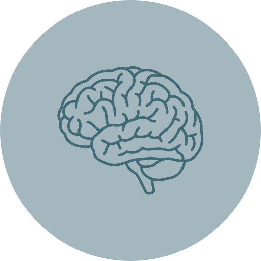 Line drawing of a human brain on a light blue circular background.